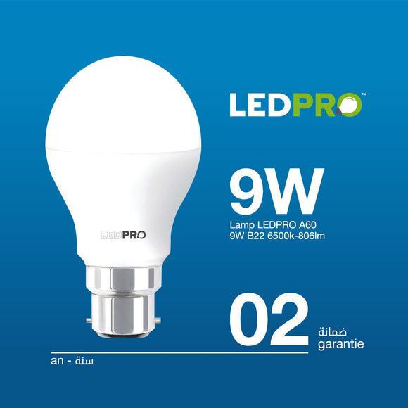 Lampe LED B22 9W (Lot de 200 unités)